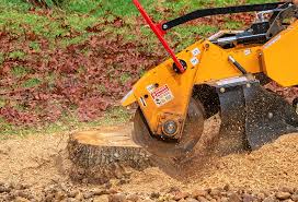 Best Stump Grinding and Removal  in Boles Acres, NM